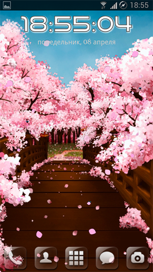 Скачать бесплатные живые обои Цветы для Андроид на рабочий стол планшета: Sakura's bridge.
