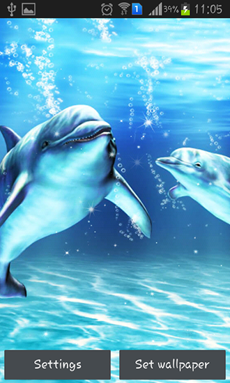 Скачать бесплатно живые обои Sea dolphin на Андроид телефоны и планшеты.