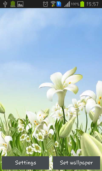 Скачать бесплатные живые обои Цветы для Андроид на рабочий стол планшета: Sea lilies.