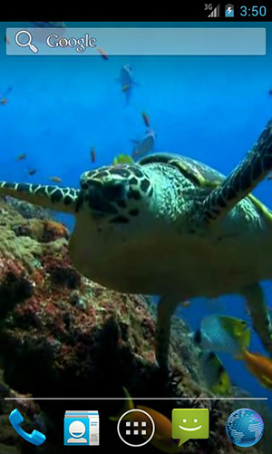 Скачать бесплатно живые обои Sea turtle на Андроид телефоны и планшеты.
