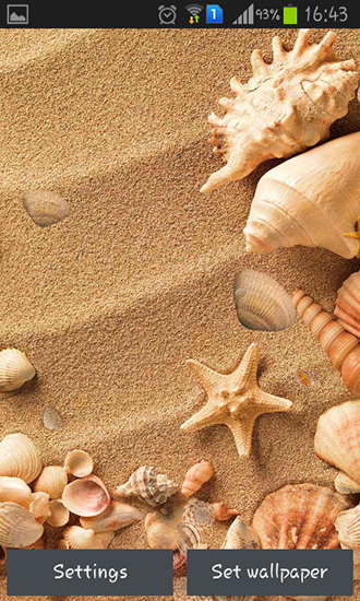 Seashell - скачать живые обои на Андроид 2.2 телефон бесплатно.