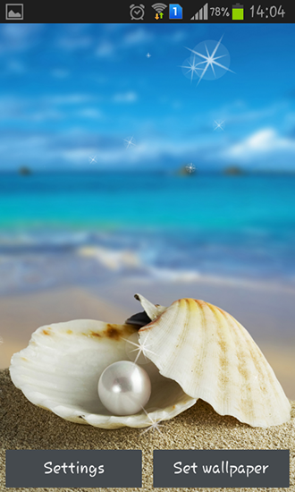 Seashells - скачать живые обои на Андроид 5.0.1 телефон бесплатно.