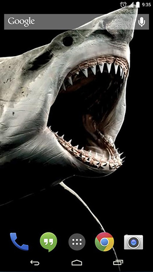 Скачать бесплатно живые обои Shark 3D на Андроид телефоны и планшеты.