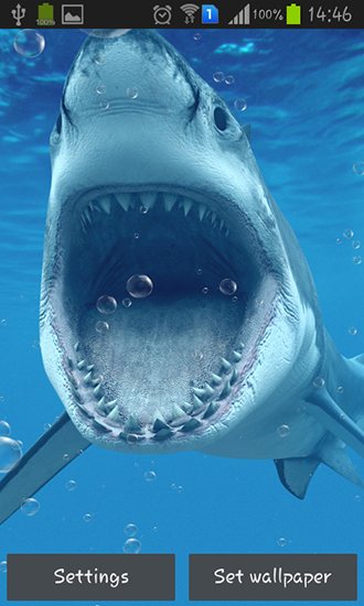 Скачать бесплатные живые обои Животные для Андроид на рабочий стол планшета: Sharks.