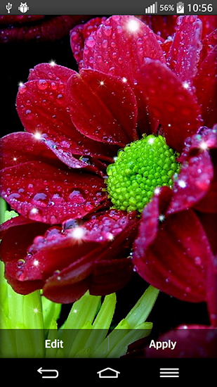 Скачать бесплатные живые обои Цветы для Андроид на рабочий стол планшета: Shiny flowers.