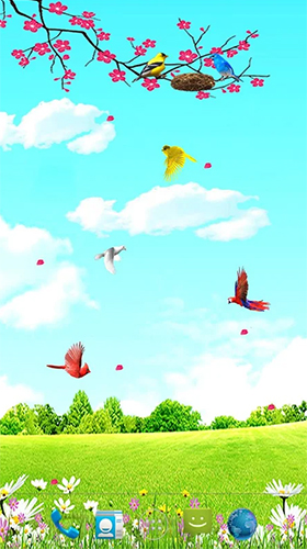 Скачать Sky birds - бесплатные живые обои для Андроида на рабочий стол.