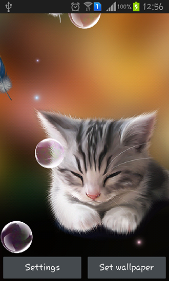Скачать бесплатно живые обои Sleepy kitten на Андроид телефоны и планшеты.