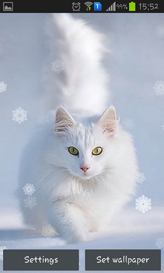 Скачать бесплатные живые обои Интерактивные для Андроид на рабочий стол планшета: Snow cats.