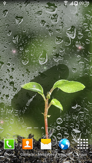 Скачать бесплатные живые обои Растения для Андроид на рабочий стол планшета: Spring.