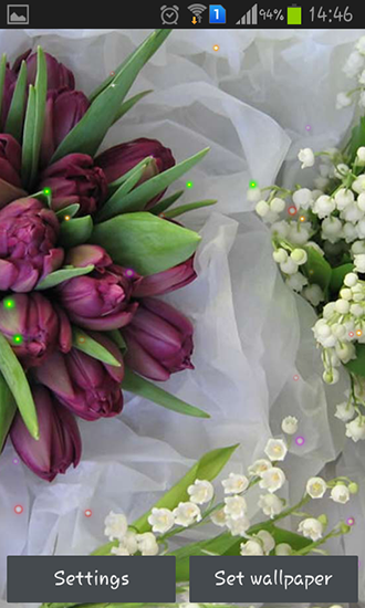 Скачать бесплатные живые обои Цветы для Андроид на рабочий стол планшета: Springs lilie and tulips.