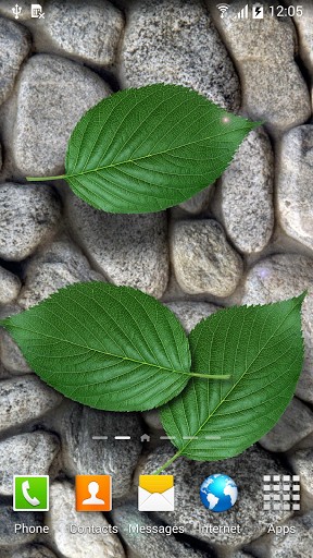 Скачать бесплатные живые обои Растения для Андроид на рабочий стол планшета: Stones in water.