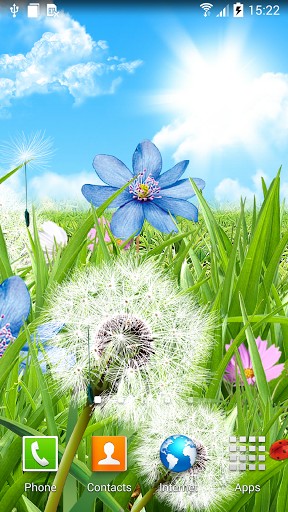 Summer flowers - скачать живые обои на Андроид 4.0.1 телефон бесплатно.