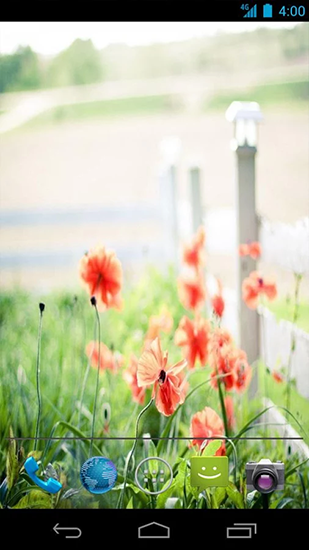 Summer flowers by Mww apps - скачать живые обои на Андроид 9.3.1 телефон бесплатно.