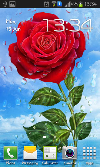 Summer rain: Flowers - скачать живые обои на Андроид 4.0.3 телефон бесплатно.