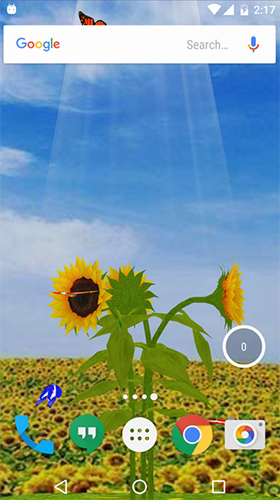 Скачать Sunflower 3D - бесплатные живые обои для Андроида на рабочий стол.