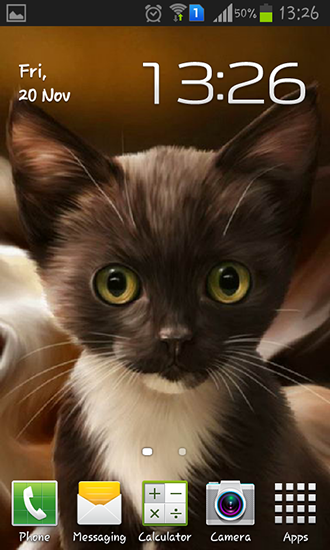 Скачать бесплатные живые обои Животные для Андроид на рабочий стол планшета: Surprised kitty.