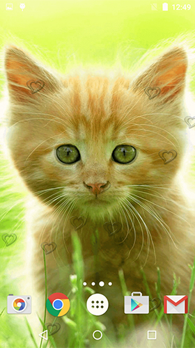Скачать Сute kittens - бесплатные живые обои для Андроида на рабочий стол.