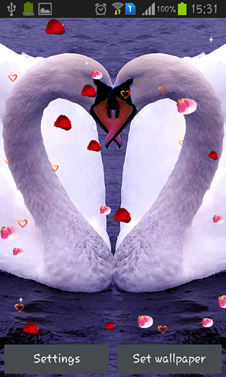 Скачать бесплатно живые обои Swans: Love на Андроид телефоны и планшеты.