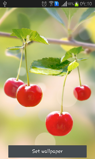 Sweet cherry - скачать живые обои на Андроид 4.3.1 телефон бесплатно.