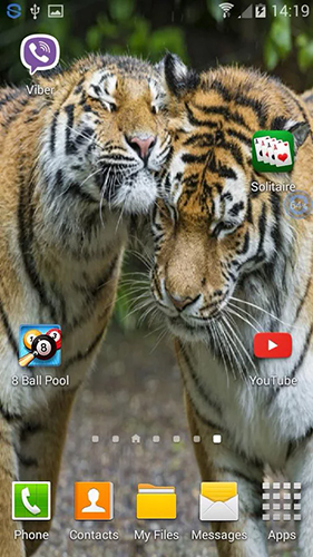 Скачать бесплатно живые обои Tigers: shake and change на Андроид телефоны и планшеты.