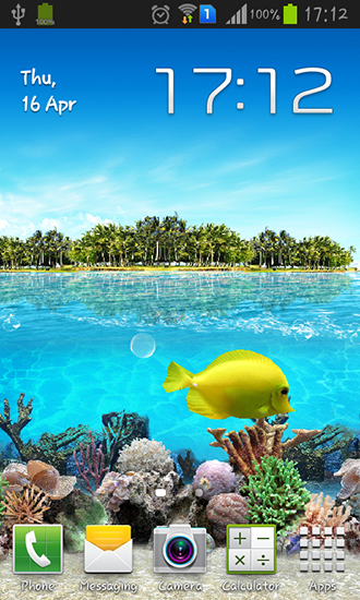 Tropical ocean - скачать живые обои на Андроид 4.2 телефон бесплатно.