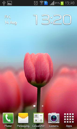 Tulip 3D - скачать живые обои на Андроид 4.4.2 телефон бесплатно.