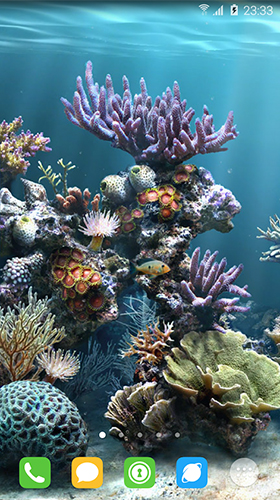 Скачать Underwater world by orchid - бесплатные живые обои для Андроида на рабочий стол.