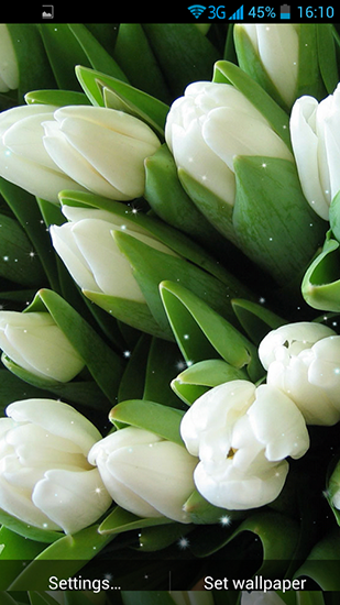 Скачать бесплатные живые обои Цветы для Андроид на рабочий стол планшета: White flowers.