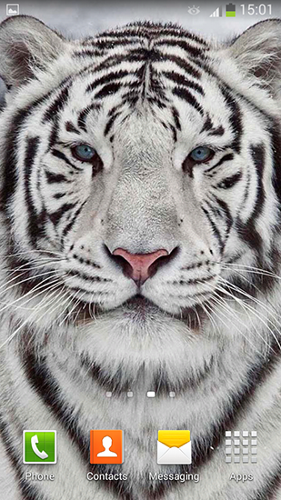 Скачать бесплатные живые обои Животные для Андроид на рабочий стол планшета: White tiger.