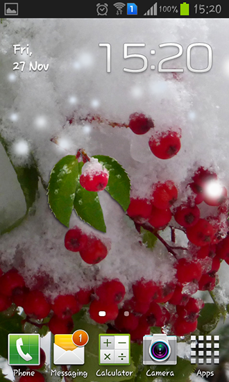 Winter berry - скачать живые обои на Андроид 4.4.2 телефон бесплатно.