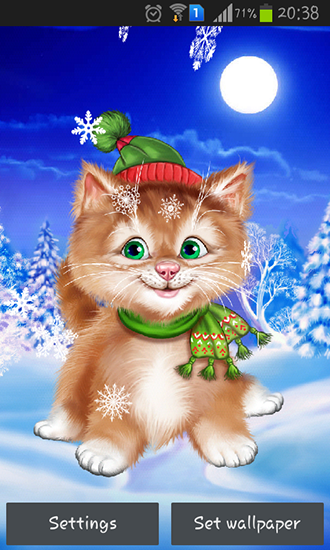 Winter cat - скачать живые обои на Андроид 4.0. .�.�. .�.�.�.�.�.�.�.� телефон бесплатно.