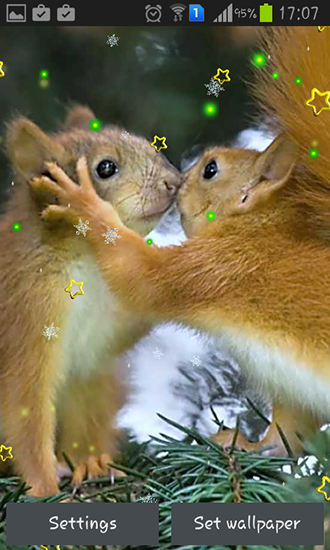 Winter squirrel - скачать живые обои на Андроид 5.0 телефон бесплатно.