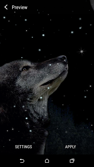 Скачать бесплатные живые обои Животные для Андроид на рабочий стол планшета: Wolf and Moon.