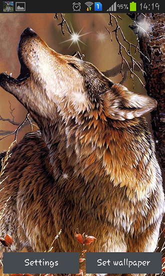 Скачать бесплатные живые обои Животные для Андроид на рабочий стол планшета: Wolf by HQ Awesome live wallpaper.