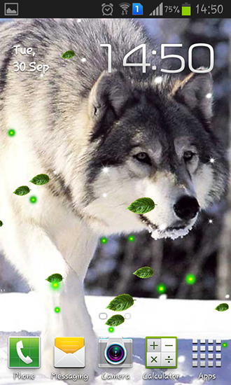 Скачать бесплатные живые обои Животные для Андроид на рабочий стол планшета: Wolves mistery.