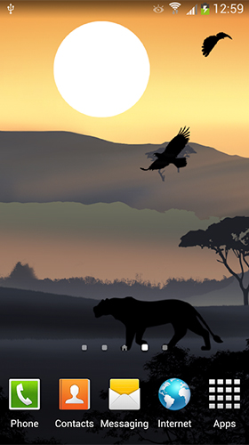 Скриншот экрана African sunset на телефоне и планшете.