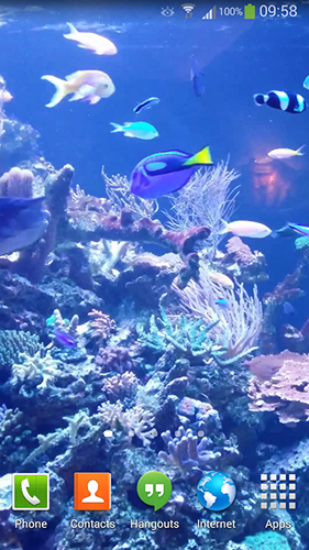 Скриншот экрана Aquarium HD 2 на телефоне и планшете.