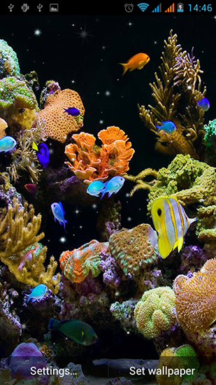 Скачать Aquarium by Best Live Wallpapers Free - бесплатные живые обои для Андроида на рабочий стол.