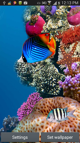 Скачать Aquarium by Seafoam - бесплатные живые обои для Андроида на рабочий стол.