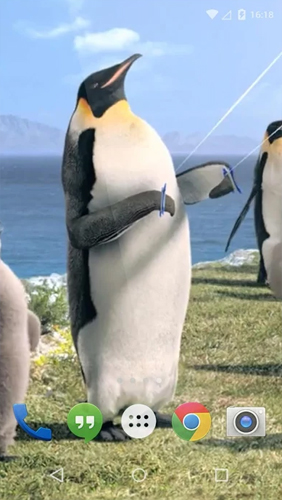 Скриншот экрана Arctic Penguin на телефоне и планшете.