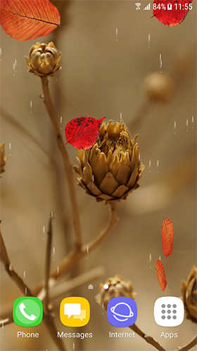 Скриншот экрана Autumn and winter flowers на телефоне и планшете.