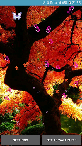Скриншот экрана Autumn by 3D Top Live Wallpaper на телефоне и планшете.