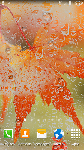 Скриншот экрана Autumn HD by BlackBird Wallpapers на телефоне и планшете.