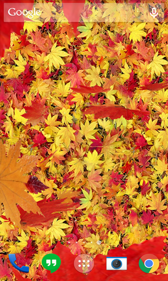 Скриншот экрана Autumn Leaves на телефоне и планшете.