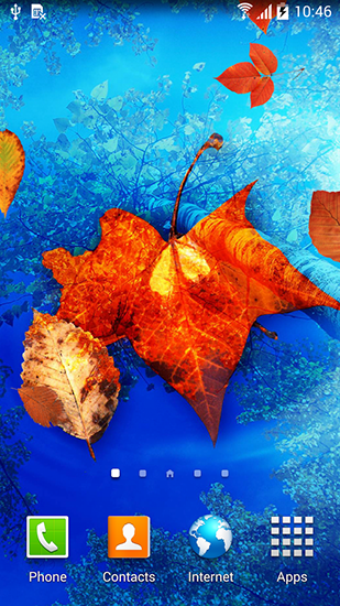 Скачать Autumn leaves - бесплатные живые обои для Андроида на рабочий стол.