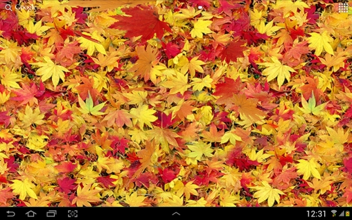 Скачать Autumn leaves 3D - бесплатные живые обои для Андроида на рабочий стол.