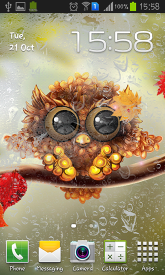 Скачать Autumn little owl - бесплатные живые обои для Андроида на рабочий стол.