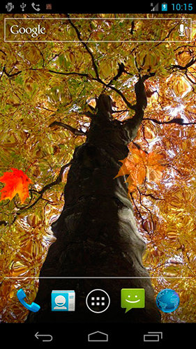 Скачать Autumn maple - бесплатные живые обои для Андроида на рабочий стол.