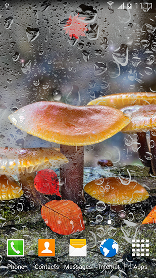 Скачать Autumn mushrooms - бесплатные живые обои для Андроида на рабочий стол.