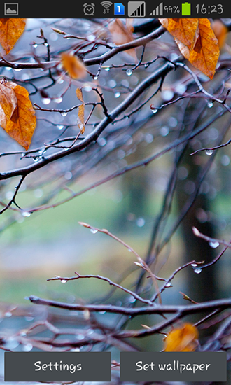 Скачать Autumn raindrops - бесплатные живые обои для Андроида на рабочий стол.